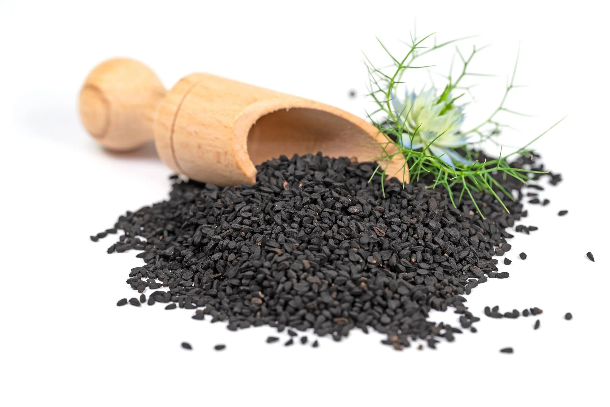 Black Cumin Seed